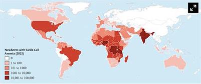 Frontiers Life Threatening Infectious Complications In Sickle Cell   497209 Thumb 400 